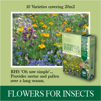 RHS Flowers For Insects