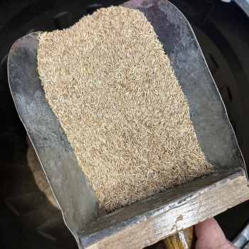 Grass Seed without Rye 1kg