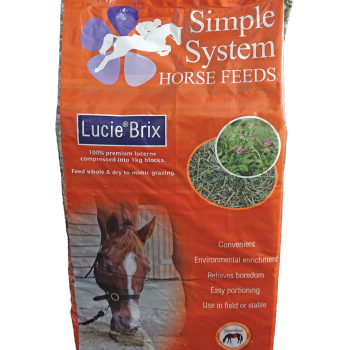 Simple System LucieBrix 20kg