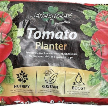 Evergreen Peat-Free Tomato Planter