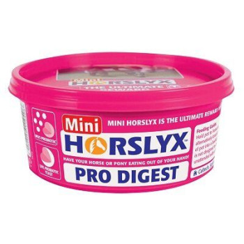 Horslyx Digestion Mini 650g