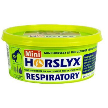 Horslyx Respiratory Mini 650g
