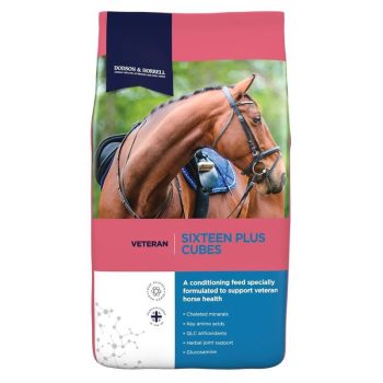 Dodson & Horrell Sixteen Plus Cubes 20kg