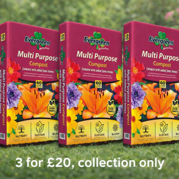 3 x Irish Multi Purpose John Innes 60L **AUGUST PROMO**