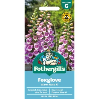 G Foxglove Warm Rose