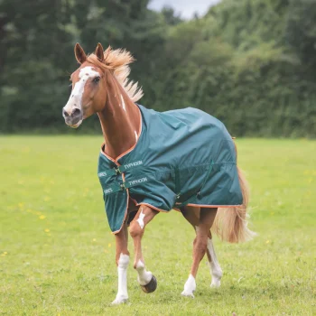 Typhoon Lite Turnout Rug 4'9 Green