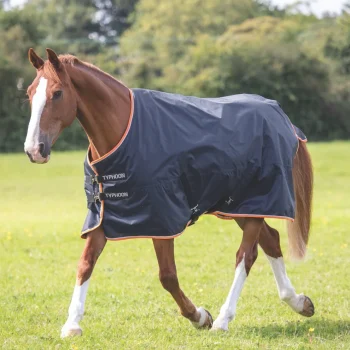 Typhoon 200g Turnout Rug 4'3 Black