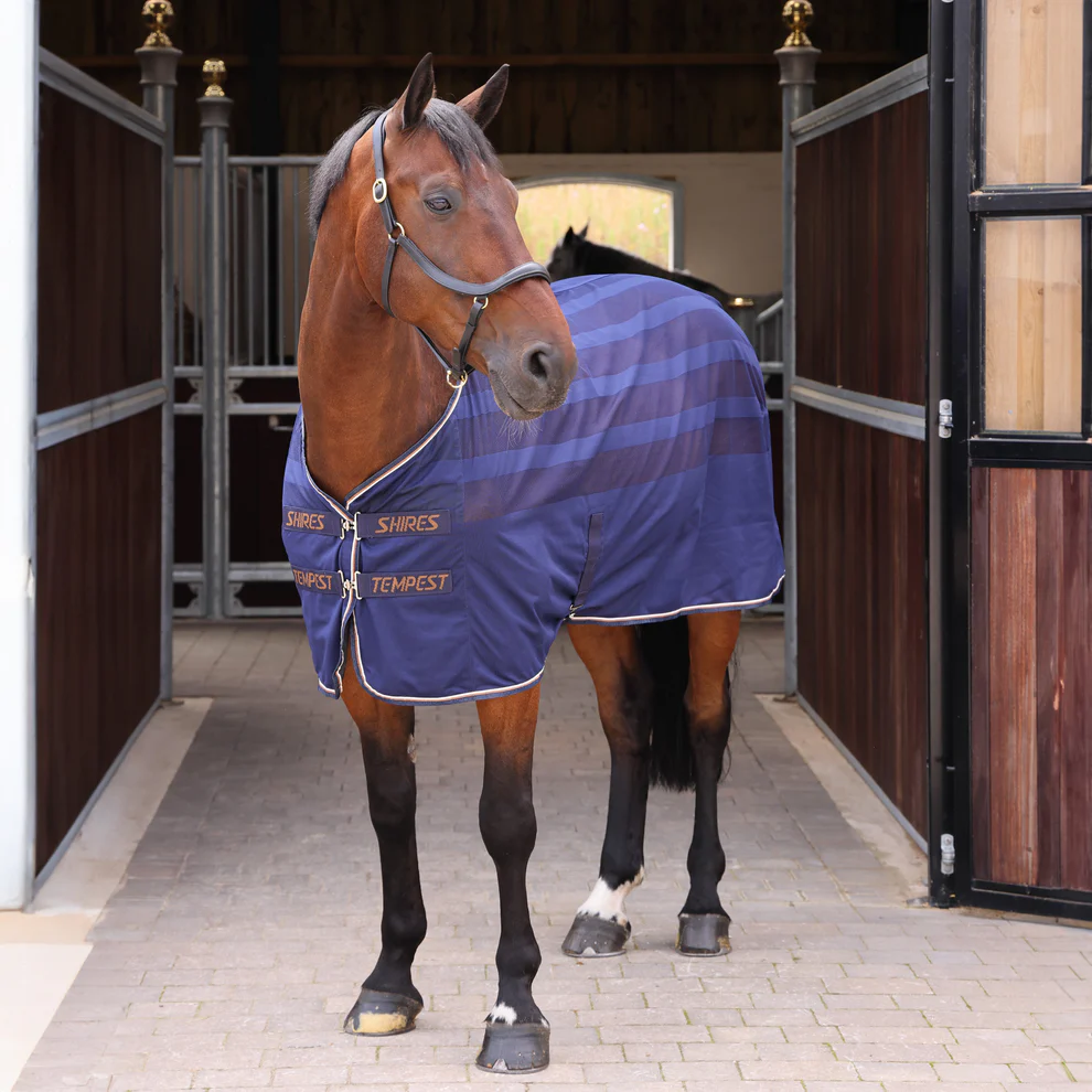 Tempest Original Scrim Cooler Rug 6'9 Ink