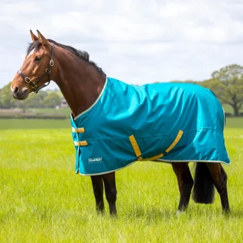 Tempest Original 50g Turnout Rug 6'9 Blue