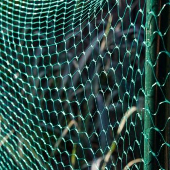 Ambassador Garden Net 6m x 2m