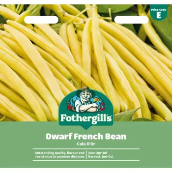 E Dwarf French Bean Cala D Or