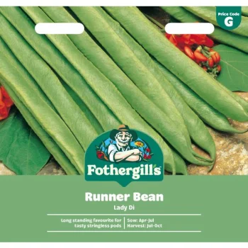 G Runner Bean Lady Di