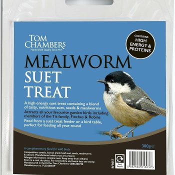 BFVB057 Mealworm Suet Treat