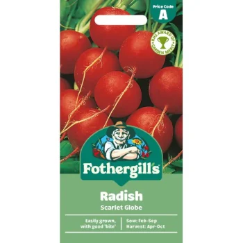 A Radish Scarlet Globe