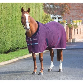 Tempest Original Team Shires Rug 6'9 Navy