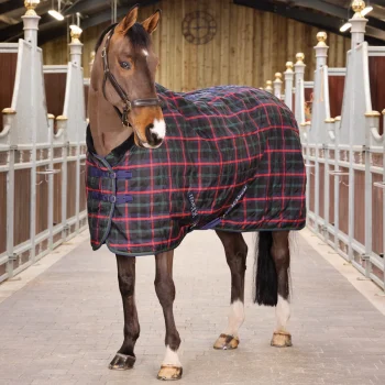Shires Tempest Plus 100g Stable Rug - 7' Check