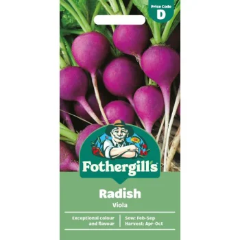 D Radish Viola