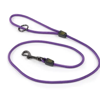 Digby & Fox Pro Dog Lead - Purple