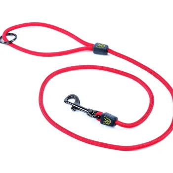 Digby & Fox Pro Dog Lead - Red