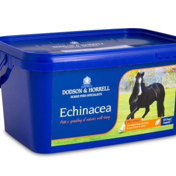 Dodson & Horrell Echinacea 1Kg