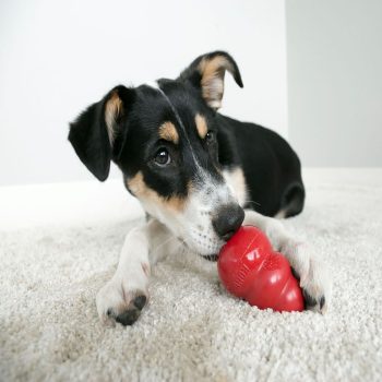 Kong Classic Small Dog Toy - Red