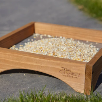BF079 Ground Feeder