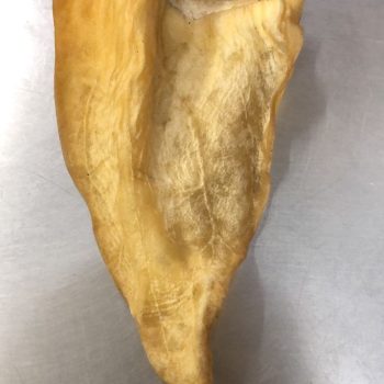Hollings Cow Ears each