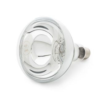 Curalux Infrared Bulb - Clear