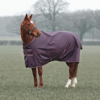Typhoon 100g Turnout Rug 6'6 Black Cherry
