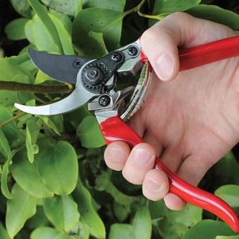 DP30 Professional Pruner