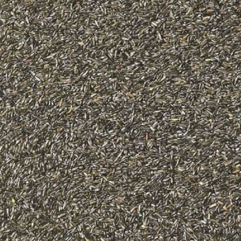 Niger Seed 1kg