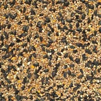 Wild Bird Seed 1kg