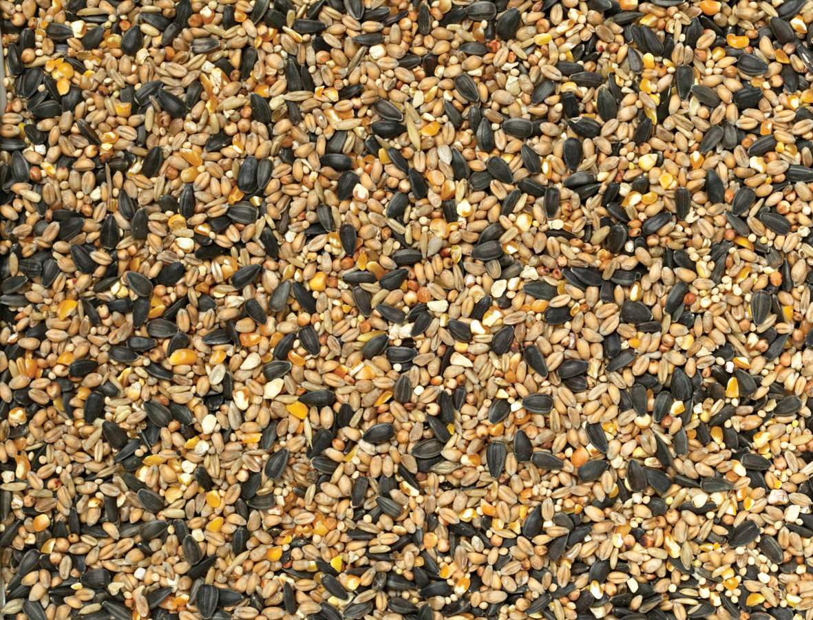 Wild Bird Seed 1kg