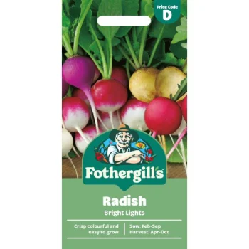 D Radish Bright Lights