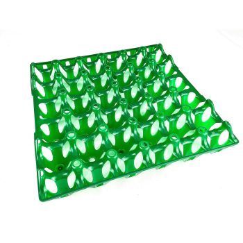 BEC Egg Tray Green