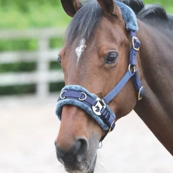 Shires Fleece Lined Lunge Cavesson - Navy Full