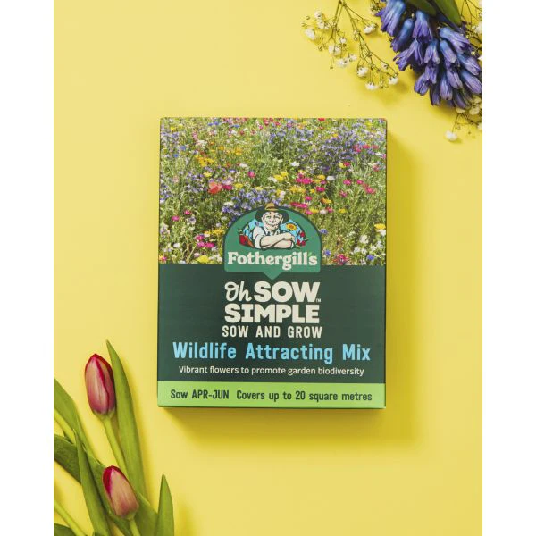 Wildlife Attracting Flower Seed Mix